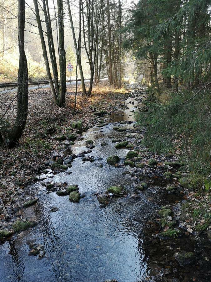 Ferienwohnung "Am Kreuzfelsen" Bestwig Zewnętrze zdjęcie